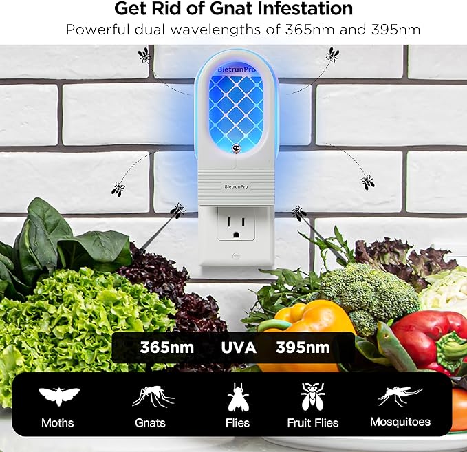 Indoor Fruit Fly & Gnat Traps Plug-in - UV/Blue Light Insect Trap with 2 Devices+6 Refills, Safe & Odorless Flying Insect Catcher for House/Kitchen/Office - Get Rid of Mosquitoes, Moths, Gnats