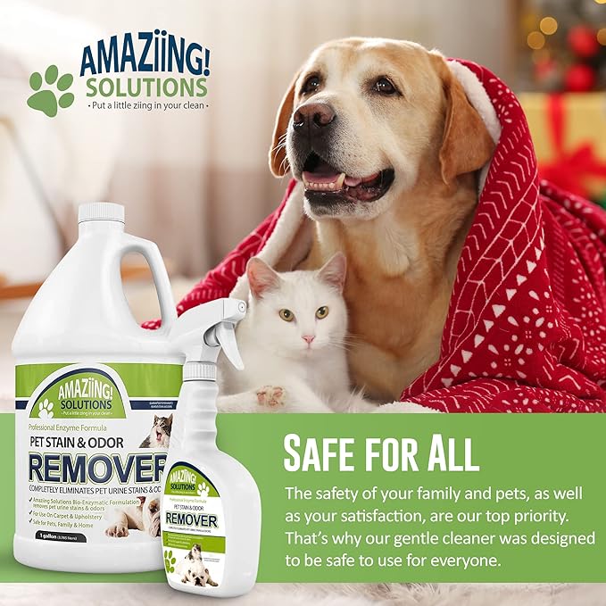 2-Pack Pet Stain and Odor Remover Enzyme Cleaner, Pet Urine Odor Eliminator Spray w/Gallon Refill - All Purpose Cleaner to Eliminate Pet Odor for Carpet and Hardwood Floors