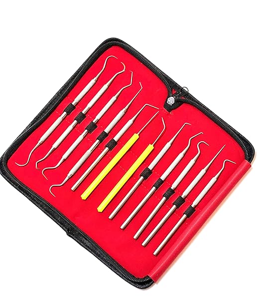 Premium Set of 12 Stainless Steel Precision Micro Probe Set Combo-Straight, Single, Short Double, Long Double, Triple and Hook Tips -Pick Tool Set 5.5"(14CM) (Set of 5 Each)