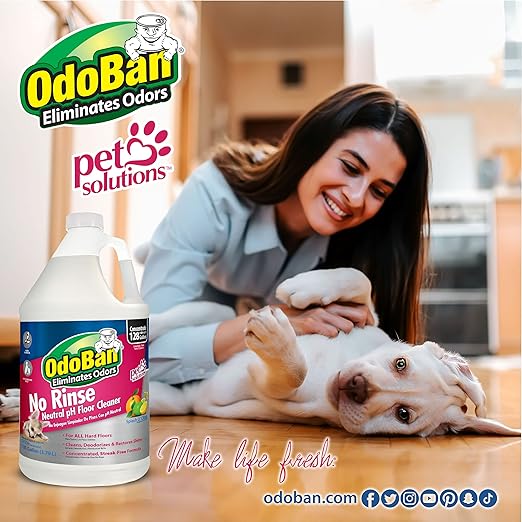 OdoBan Pet Solutions No Rinse Neutral pH Floor Cleaner Concentrate, 3 Gallons, Splash O' Citrus Scent