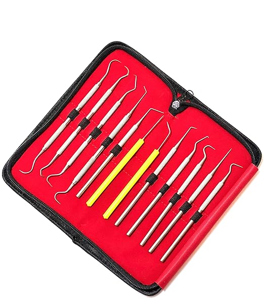 Premium Set of 12 Stainless Steel Precision Micro Probe Set Combo-Straight, Single, Short Double, Long Double, Triple and Hook Tips -Pick Tool Set 5.5"(14CM) (Set of 5 Each)