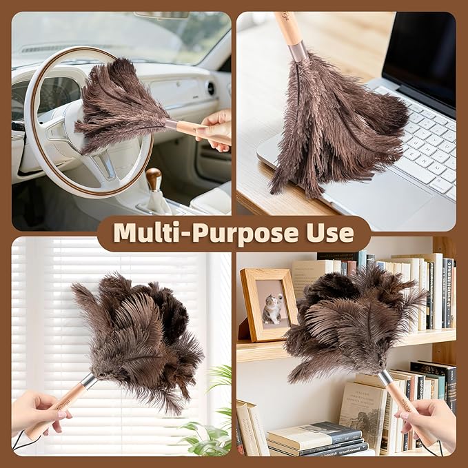 2 Pack Ostrich Feather Dusters with Wooden Handle, 13.5 inch Natural Fluffy Feather Dusters for Dusting Home, Car, Delicate Surfaces, Reusable Soft Cleaning Tools for Ledges, Blinds
