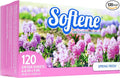 Spring Fresh Dryer Sheets 120ct