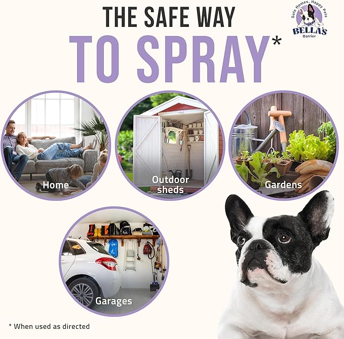 Petra Bella's Barrier Earwig Repellent - Kills and Repels Earwigs, Bugs, Ants, Fly Spray and More - Bug Spray for Home, Spray Indoor and Outdoor, Indoor Bug Spray Care for Pets (32 Oz)
