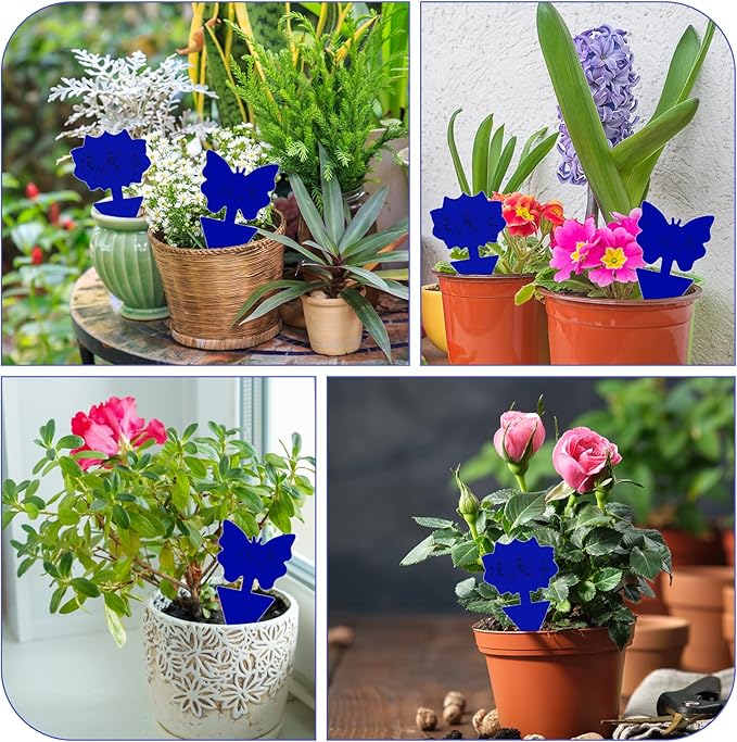 Fruit Fly Traps, 100 Pack Blue Sticky Traps, Fungus Gnat Traps, Plant Fly Stickers for Indoor and Outdoor Use Protect The Plant