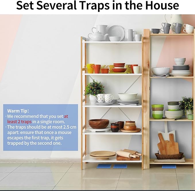 LULUCATCH Mouse & Insect Traps 12 Pack, Heavier Sticky Traps with Non-Toxic Glue for Small Mice & Insects. Sticky Mouse Traps Indoor, Easy to Set, Pet Safe Pest Control