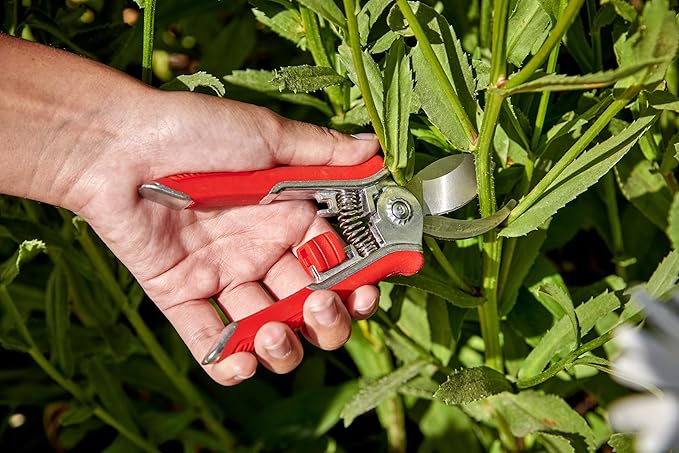 Corona Tools Lopper & Pruner Kit
