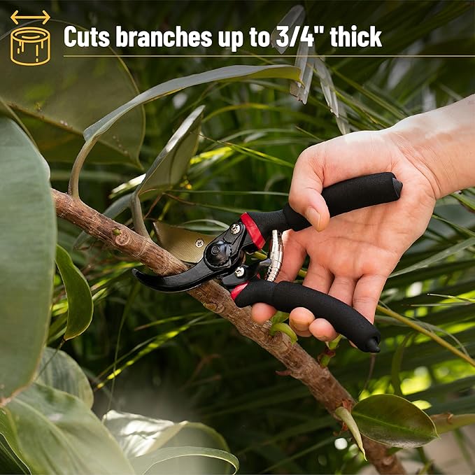 Mr. Pen- Pruning Shears, Garden Shears, 8" Professional, Titanium Blade, Garden Scissors, Gardening Shears