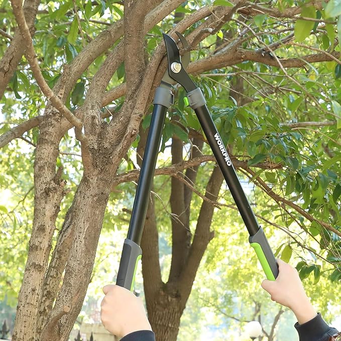 WORKPRO 28" Anvil Lopper for Gardening, Long handle Branch Cutter with 1.6" Cutting Capacity, Heavy-Duty Pruning Shear Featuring Gear System for Tree Trimming, Handheld Garden Shear with Sharp Blade