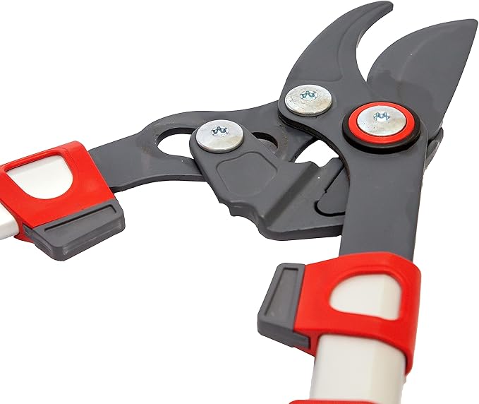 WOLF-Garten Power Cut Telescoping Bypass Lopper RR900T