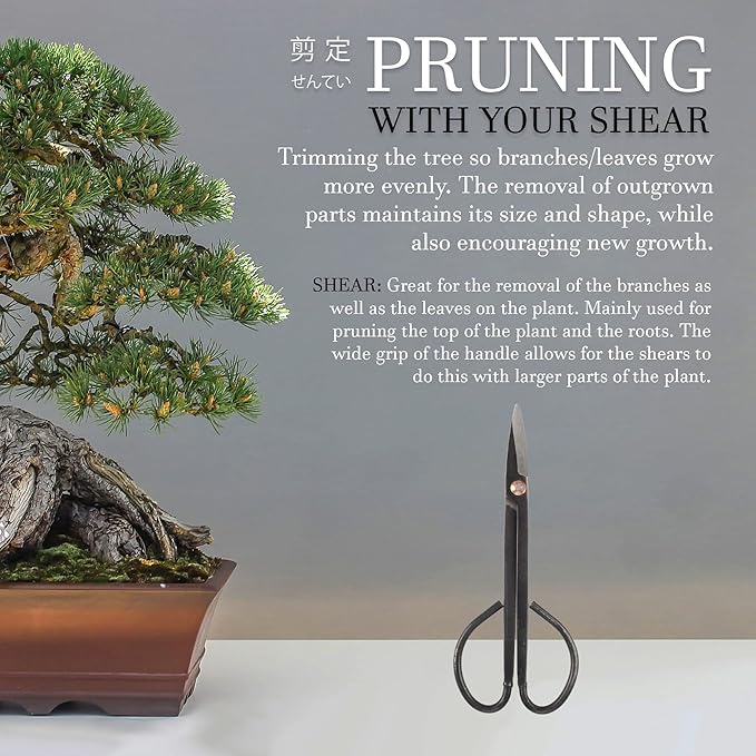BambooMN Bonsai Basics Set - 8" Knob Cutter and 7.2" Trimming Shear - 1 Set