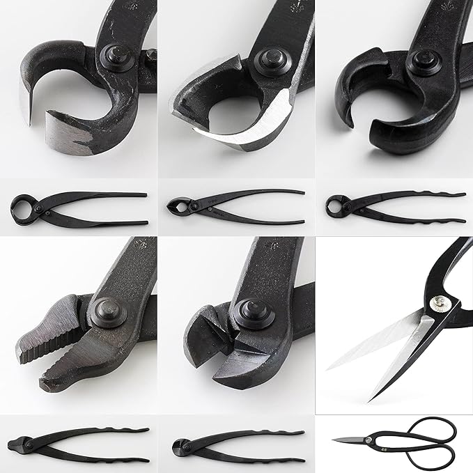 Wazakura Made in Japan 6PCS Bonsai Professional Tool Kit with Roll Bag: Yasugi Steel Ashinaga Scissor, Concave Branch Cutter, Knob Cutter, Jin Plier, Wire Cutter, Root Cutter. Bonsai Tool Set & Case