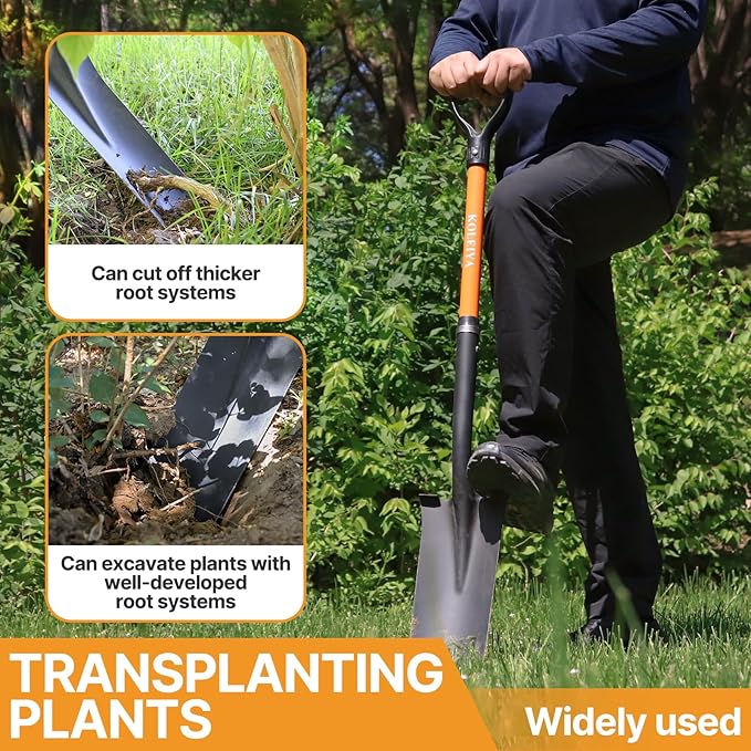 45-Inch Heavy Duty Orange Fiberglass Handle Drain Spade Shovel.Sharp Shooter Digging Shovel for Gardening,Planting and Trenching.Durable Spade Shovel for Heavy Duty Digging and Drainage