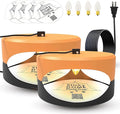 ASPECTEK Sticky Dome™ Flea Trap, Odorless Glue Trap with 2 Sticky Discs, Effective Bed Bug Killer and Flea and Tick Treatment, Indoor Insect Trap for Bugs, 2 Packs in Orange and Dark Gray