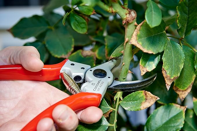 Corona Tools Bypass Pruner – Forged Steel 1″ Capacity Hand Pruning Garden Shears with Lightweight Aluminum Handles