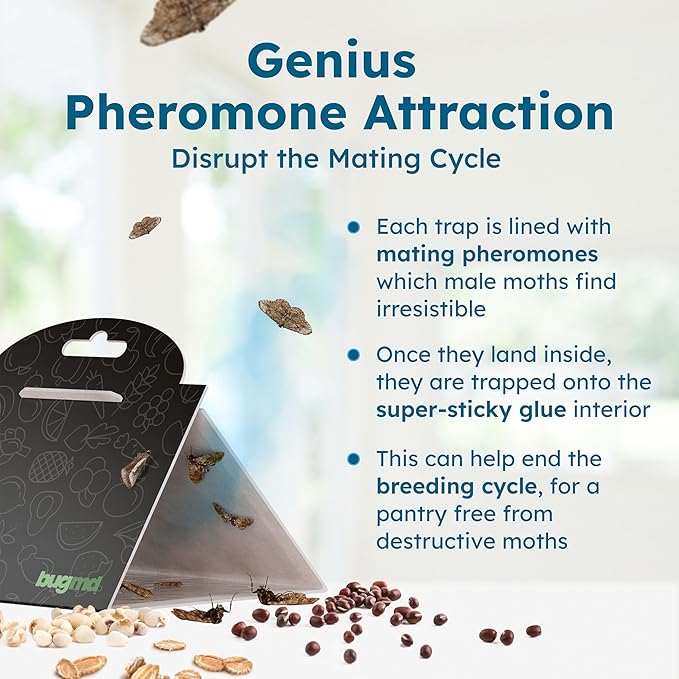 BugMD Pantry Moth Traps (18-Pack) – Pheromone-Based Sticky Glue Traps, Non-Toxic, Kills Indian Meal Moths – Kitchen & Food-Storage Safe - Black