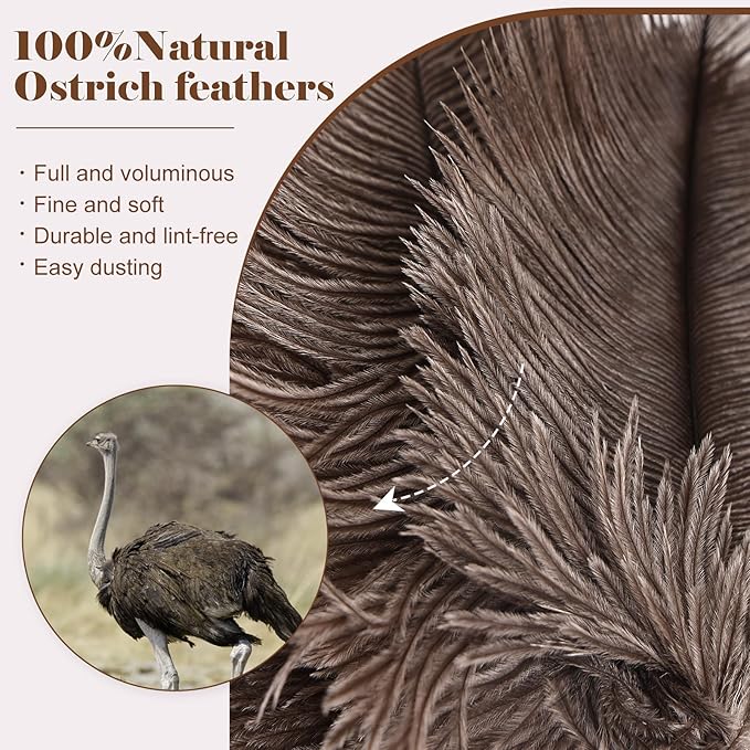 Natural Ostrich Feather Duster 14.9 inch Fluffy Mini Dusters with Plastic Handheld for Cleaning Car Keyboard Office 2 PCS
