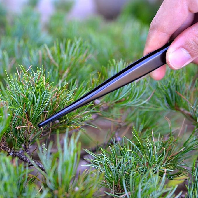 KAKURI Bonsai Tweezers Straight Serrated Tips with Spatula 8.8" - Made in Japan - Professional Bonsai Care Tool - Black Coated Japanese Stainless Steel