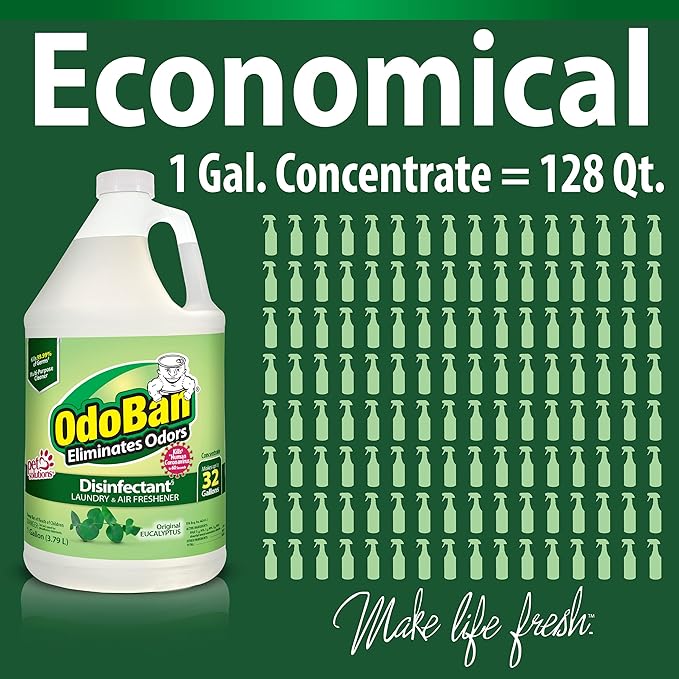 OdoBan Ready-to-Use Disinfectant and Odor Eliminator, Made in the USA, Original Eucalyptus Scent, Set of 2, 32 oz Spray and 1 Gallon Concentrate