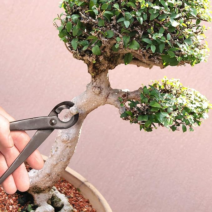 BambooMN Bonsai Tool Kit - 8" Concave Cutter & 8" Knob Cutter - 10 Sets