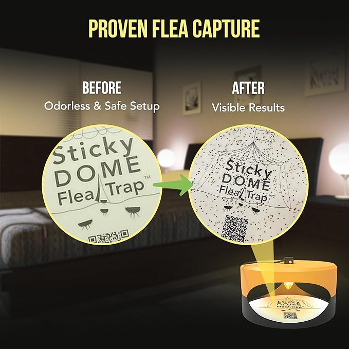 ASPECTEK Sticky Dome Flea Trap, Odorless Glue Trap with 2 Sticky Discs, Effective Bed Bug Killer and Flea and Tick Treatment, Indoor Insect Trap for Bugs, 1 Pack in Orange and Dark Gray