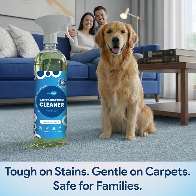 stain remover spray – Spot Cleaner for Carpet, Upholstery, Rugs & Fabric | Pet Stain & Odor Remover | Just Add Water Starter Kit with Refillable Bottle & Concentrated Pod 33 fl oz