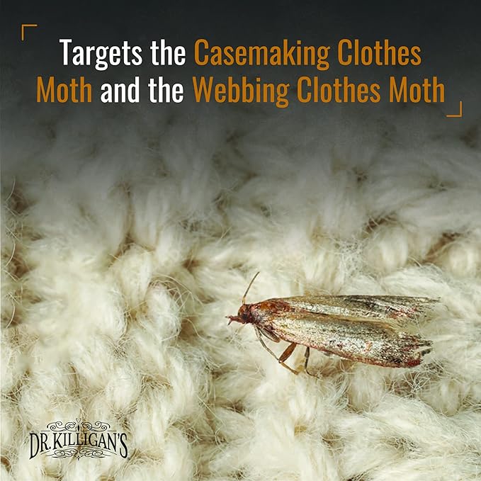 Dr. Killigan's Premium Double Potent Clothing Moth Traps with Pheromones Prime - Trap with Lure for Clothes Closets & Carpet - Case Making & Web Spinning Moth Prevention (20 Pack, Black)