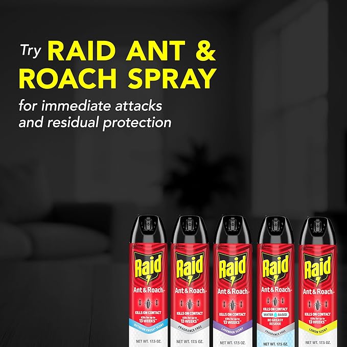 Raid Ant & Roach Killer Spray For Listed Bugs, Keeps Killing for Weeks, Lemon Scent, 17.5 oz