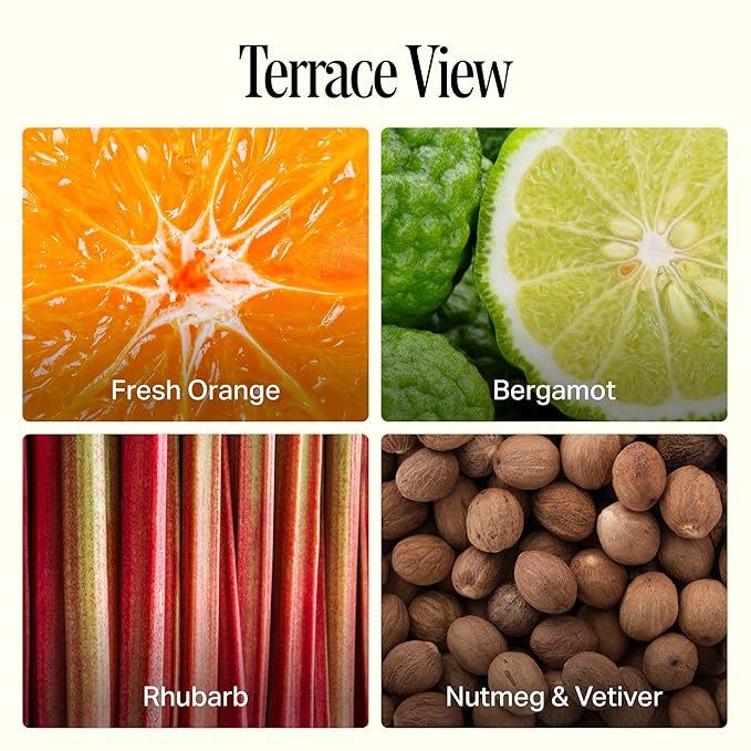 Preston Lane Luxury Dish Soap, Terrace View Scent – Plant-Powered Formula with Essential Oils | Tough on Grease, Gentle on Hands | Vegan, Cruelty-Free, Clean Ingredients