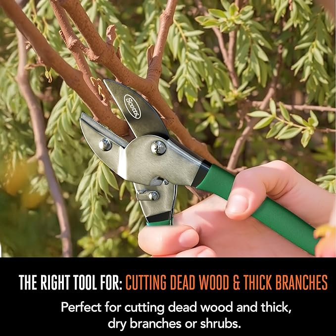 Scotts 8 in. Anvil Pruning Shears – 1/2 in. Cutting Capacity, Heavy-Duty Garden Pruner for Dry Stems and Dead Wood, Sap Resistant – Comfort Grip with Sharp Carbon Steel Blade for Yard and Garden Use