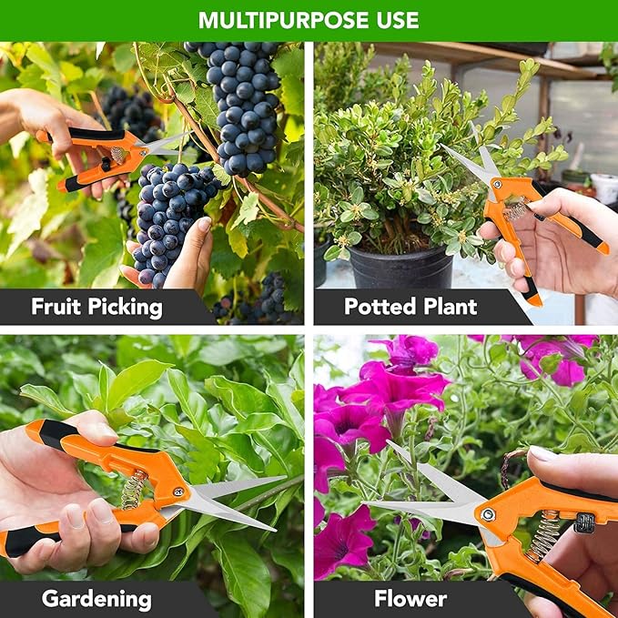 iPower 6.5 Inch Gardening Scissors Hand Pruner Pruning Shear with Straight Stainless Steel Blades, Orange, 2-Pack