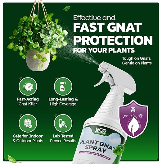Eco Defense Gnat Spray for Indoor Plants – Fungus Gnat Killer & Houseplant Insect Control – Plant-Based Bug Spray for Houseplants & Indoor Gardening