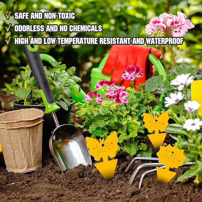 48PCS Fruit Fly Sticky Traps, Fungus Gnat Traps Insect Trap for Plants Kitchen Indoor and Outdoor（48 Lemon Yellow ）
