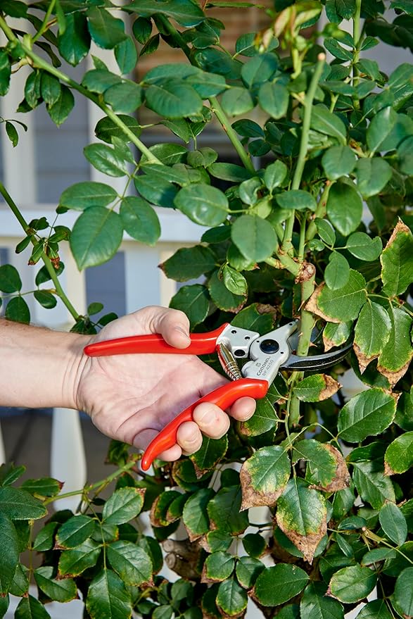 Corona Tools Bypass Pruner – Forged Steel 1″ Capacity Hand Pruning Garden Shears with Lightweight Aluminum Handles
