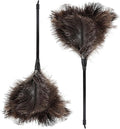 Natural Ostrich Feather Duster 14.9 inch Fluffy Mini Dusters with Plastic Handheld for Cleaning Car Keyboard Office 2 PCS