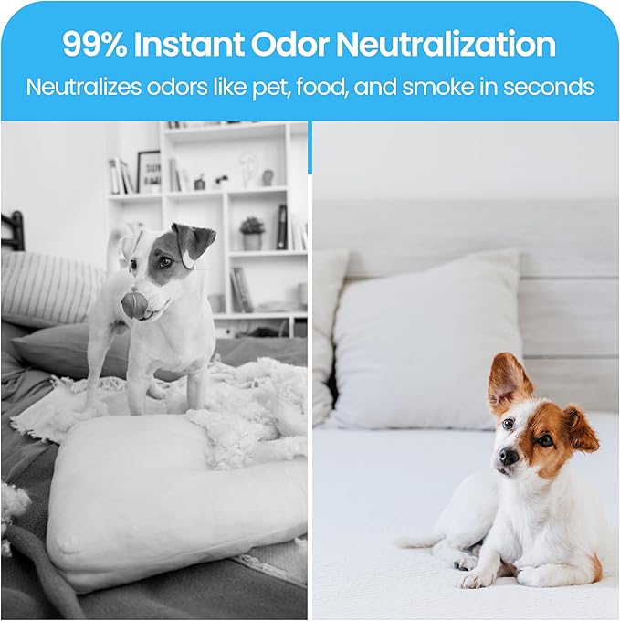 LAVONS Fabric Spray Freshener for Carpet Fresh, Pet Safe Linen Spray for Bedding, Organic Fabric Refresher Spray for Home & Offices, Natural Carpet Freshener from Japan, 12.5 Fl Oz FRENCH MACARON