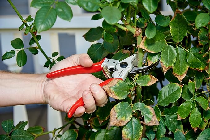 Corona Tools Bypass Pruner – Forged Steel 1″ Capacity Hand Pruning Garden Shears with Lightweight Aluminum Handles