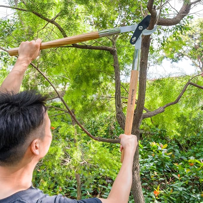 Berry&Bird 28" Garden Loppers for Tree Trimming, Heavy Duty Bypass Loppers with Compound Action, Branch Cutter up to 1.75" Diameter Cut Capacity, Hand Loppers with Carbon Steel Blade, Ashwood Handle