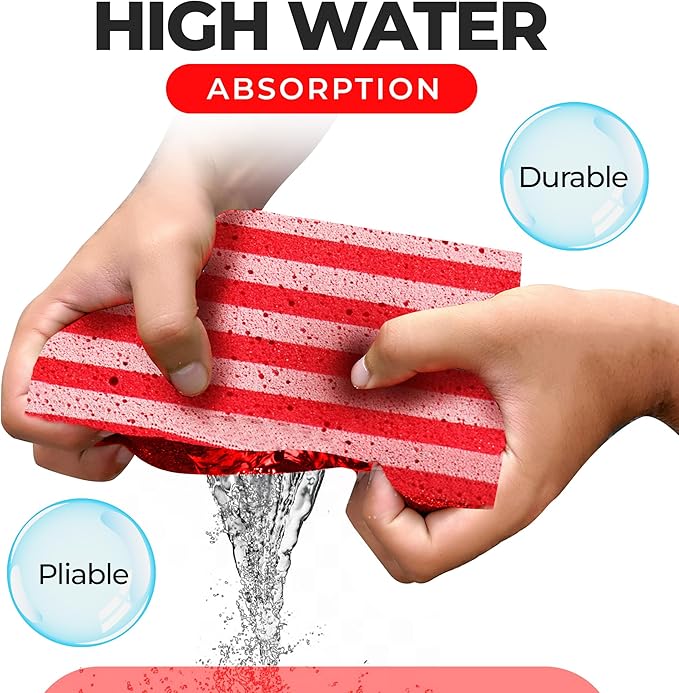 Multi-Purpose Sponges for Cleaning - USA 2 Pack, Large Sponges for Car Washing, Tile & Grout, All Purpose Cleaning