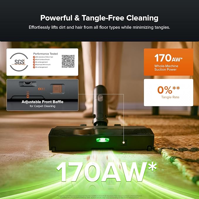 roborock H60 Hub Pro Cordless Stick Vacuum Cleaner with Auto-Empty Dock, 170AW Suction for Carpets and Pet Hair, Vacuum Cleaners with 80-Min Runtime, Anti-Tangle Brush, 140° Green LED Dust Detection