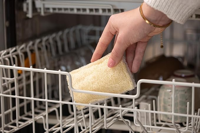 Full Circle 100% Plant-Based Loofah Sponges – Pack of 2 – Plastic-Free, Natural Sponge, No Microplastics, Safe for Nonstick Cookware.