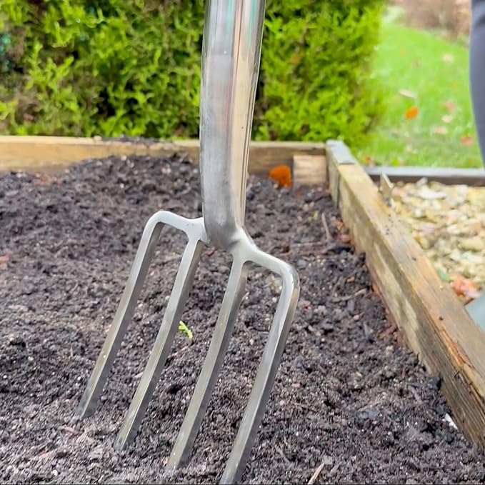 Spear & Jackson Traditional Stainless Steel Border Fork, Durable Heavy Duty Garden Tool, Ideal for Aerating Weeding and Digging, Comfortable Wooden Handle
