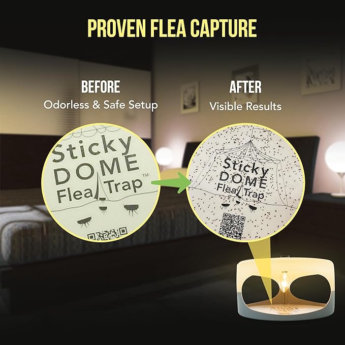 ASPECTEK Sticky Dome™ Flea Trap, Odorless Glue Trap with 2 Sticky Discs, Effective Bed Bug Killer and Flea and Tick Treatment, Indoor Insect Trap for Bugs, 1 Pack in White and Light Gray