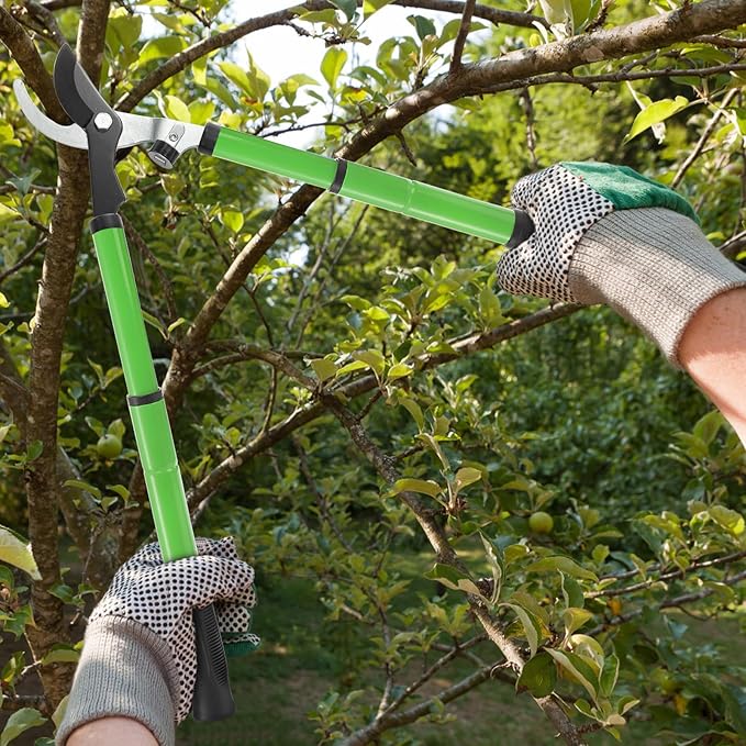 Nicunom Extendable Lopper with Compound Action, 17"-23" Garden Loppers SK5 Sharp Blade Tree Trimmer Bypass Pruning Shears, Telescopic Branch Cutter Heavy Duty Tree Pruner