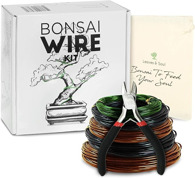 Complete Bonsai Set - Small Green Oval Bonsai Pot with Soil, Fertilizer Pellets, 160ft of Bonsai Hobby Wire, Cutter and Storage Bag - DIY Gardening Starter Set - Plant Repotting Supplies