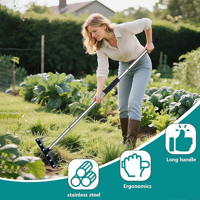Stainless Steel Weeding Tool - 8 Tine Garden Rake with Adjustable Handle (31"-63"), Heavy Duty Weed Puller for Soil Cultivation, Rust-Resistant Garden Hand Tool