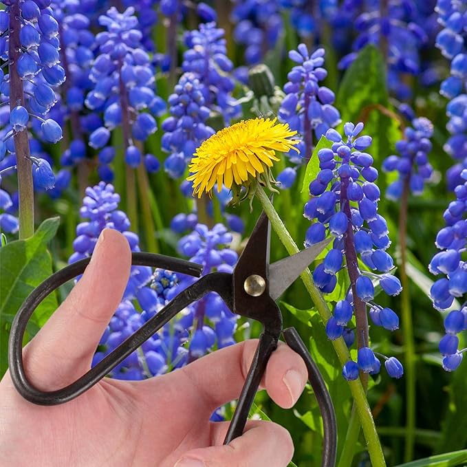 BambooMN 5.1" Heavy Duty Bonsai Forged Sharp Scissors - 10 Pieces