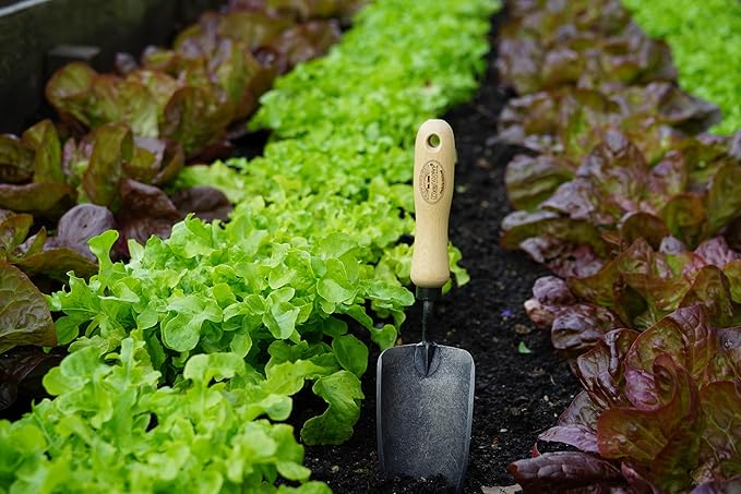 Tierra Garden DeWit Forged Hand Trowel, Garden Tool for Roots and Planting, Standard (31-3000)