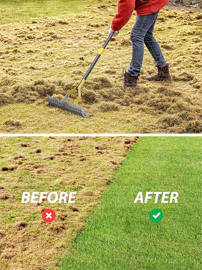 Thatch Rake, 2-in-1 Lawns Manual Dethatcher with Adjustable Head, 55" Heavy Duty Metal Dethatching Rake Garden Tools, 19-Tooth Sharp Blade for Yard Dead Grass, Moss Removal, Soil Loosening