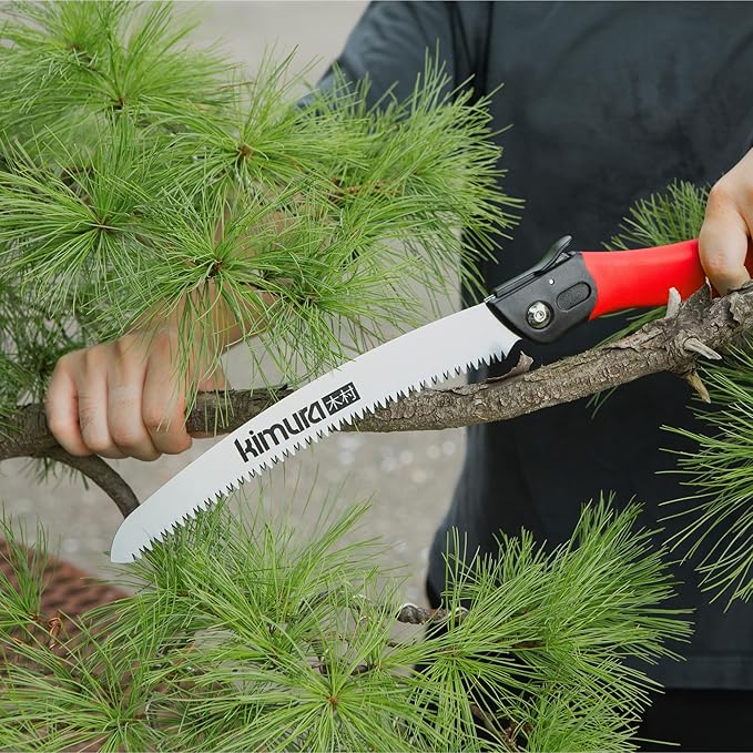 Kimura Folding Saw, Heavy Duty 10 Inch Curved Blade, Japanese SK5 Steel, Hand Saws for Branches, Wood & Camping, Pruning Saw with Impulse Hardened Double Layer Edge